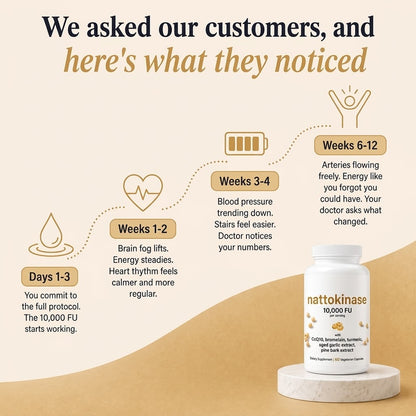 Nattokinase 10,000 FU Capsules