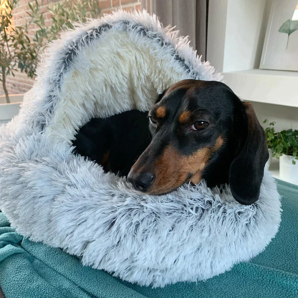 Plush Pet Bed